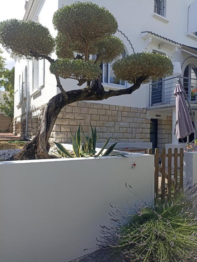 Chambres D'Hotes La Pastourelle Royan Centre المظهر الخارجي الصورة